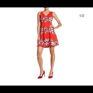 Julia Jordan dress - NWT - size 14